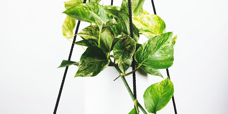 世界杯体育场馆内部全景 - 观众席与球场